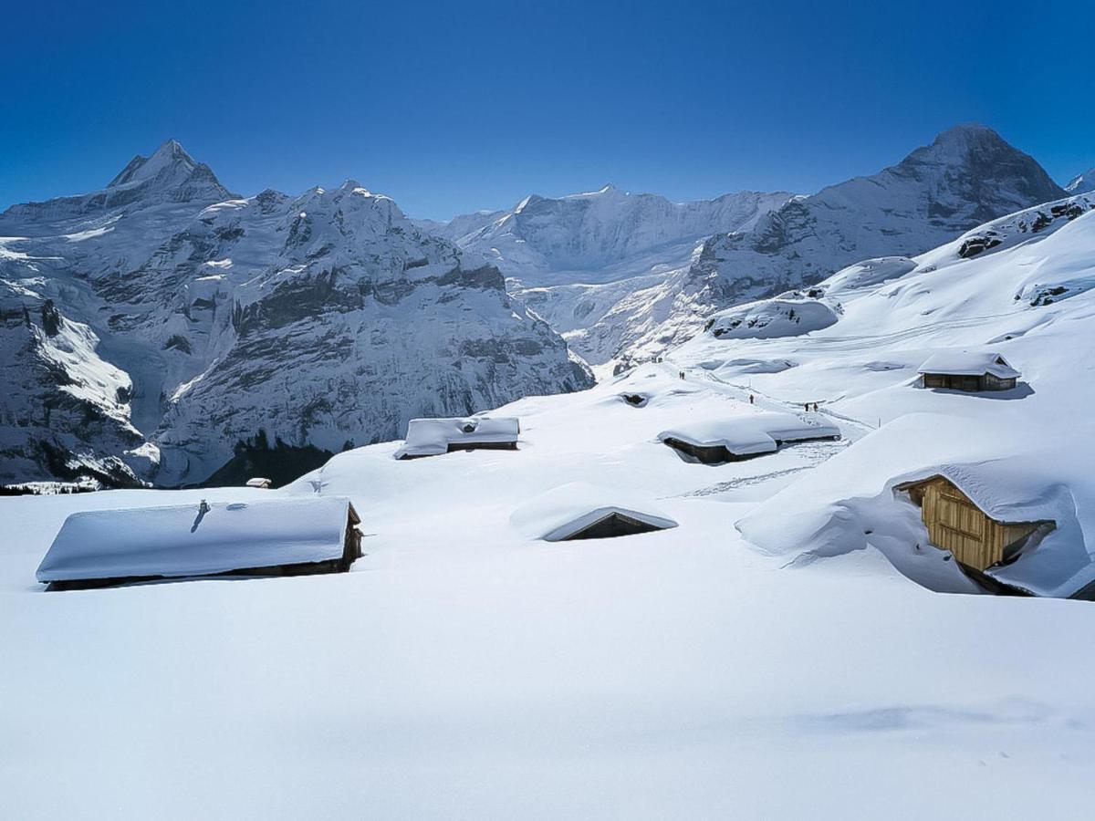 Apartment Chalet Butz By Interhome Grindelwald Exterior photo